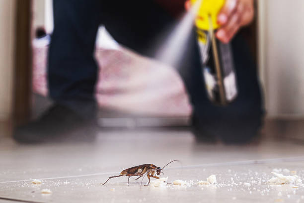 Best Cockroach Control Services  in Speers, PA